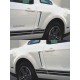 10-14 Ford Mustang Custom Side Scoops 2013 13 2012 12 Hutze