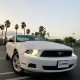 rex LUXX Voll LED SCHEINWERFER LED Blinker DRL 10 12 14Für FORD MUSTANG 2010 - 2014 Alpha